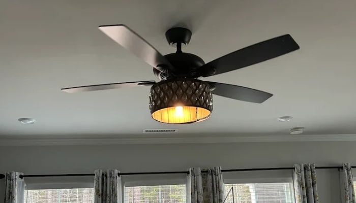 Dawsons Electric Fan With Light