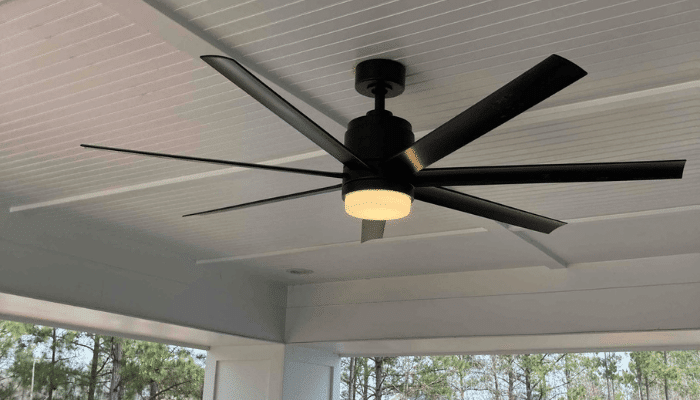 Ceiling Fan 1